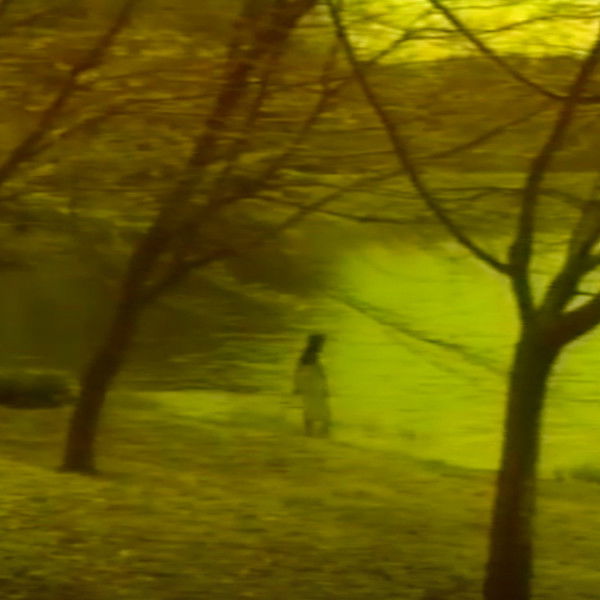 Sensual Forest Beauty