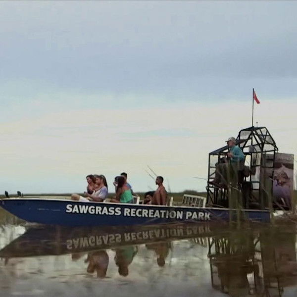 Lake Fear 2: The Swamp