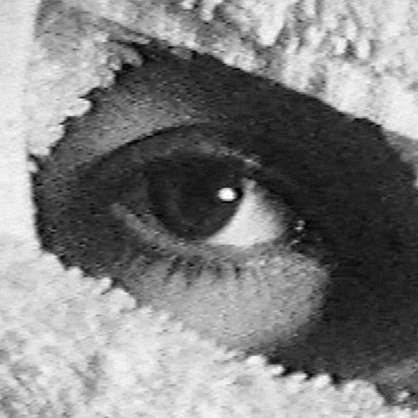 Pneurosis (en el baño)