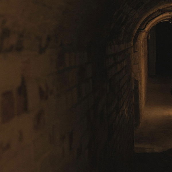 The Cellar