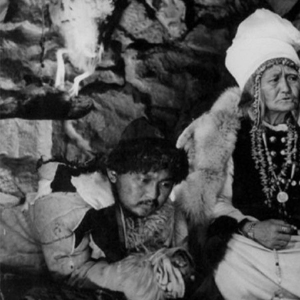 The Descendant of the Snow Leopard