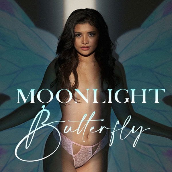 Moonlight Butterfly