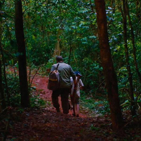 El silencio del cazador