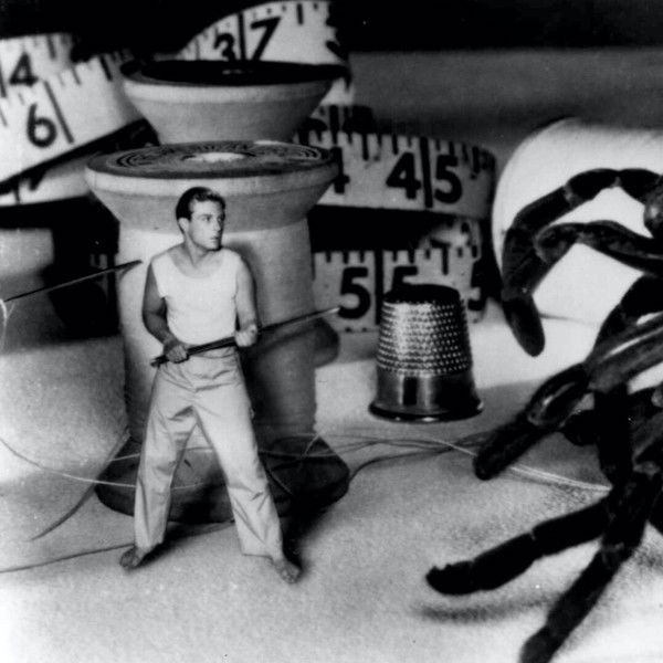 The Incredible Shrinking Man