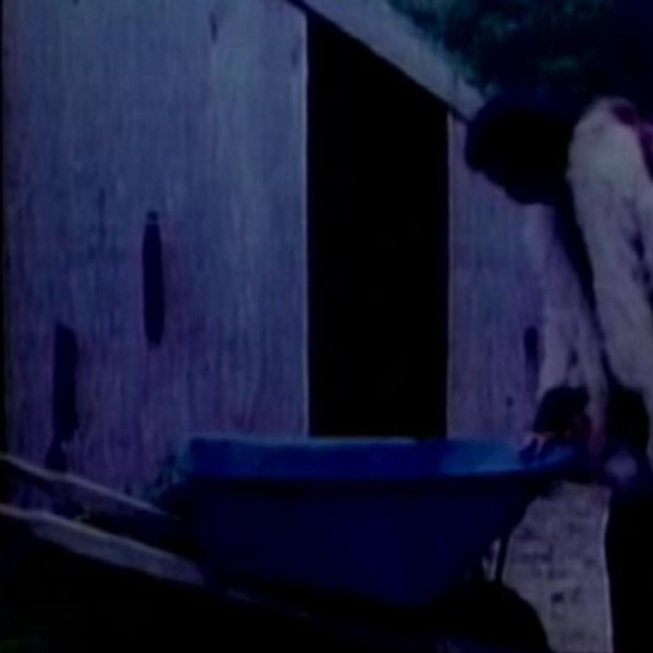 Tales That'll Tear Your Heart Out