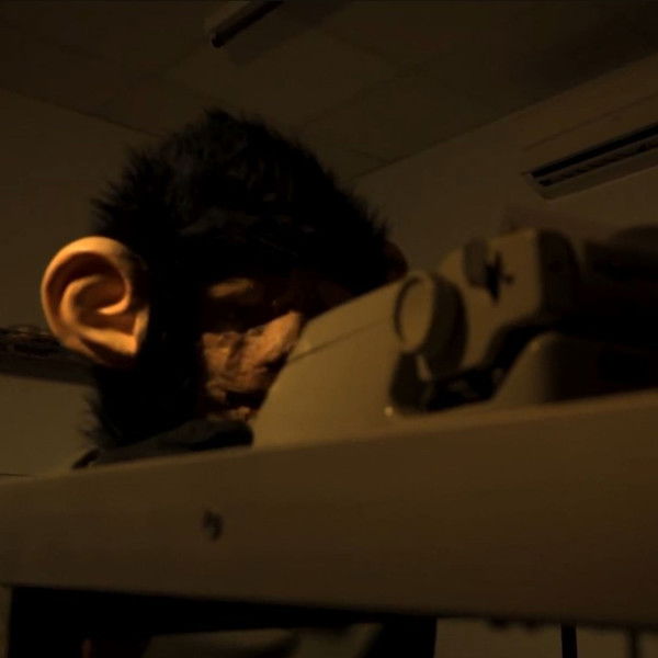 The Infinite Monkey Theorem