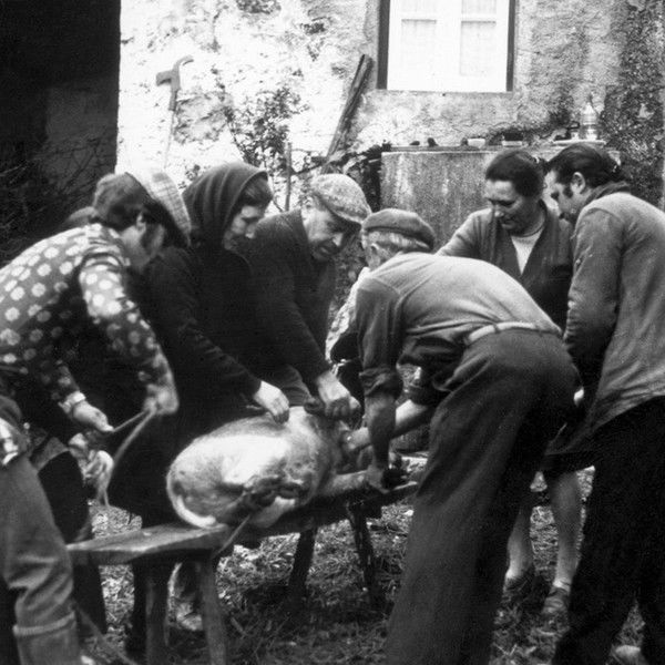 Nós Por Cá Todos Bem