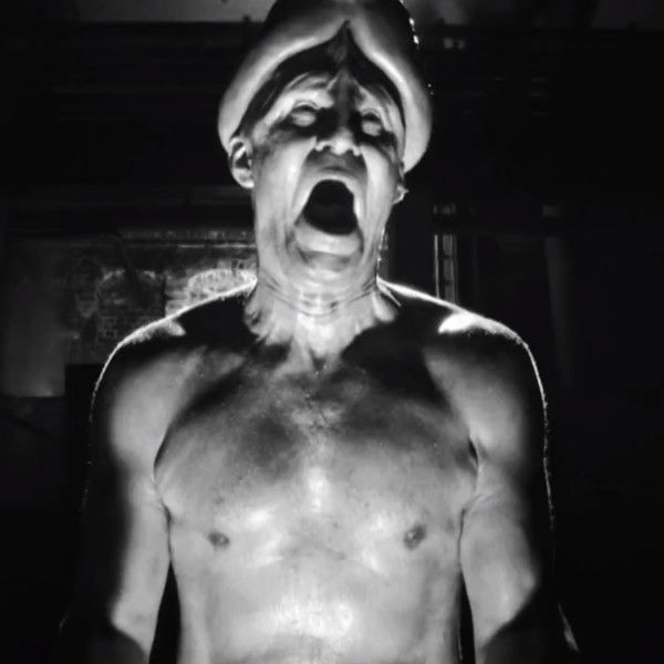 Night of the Living Dicks