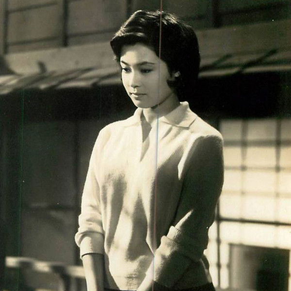 Roses Bloom on a Rose Tree