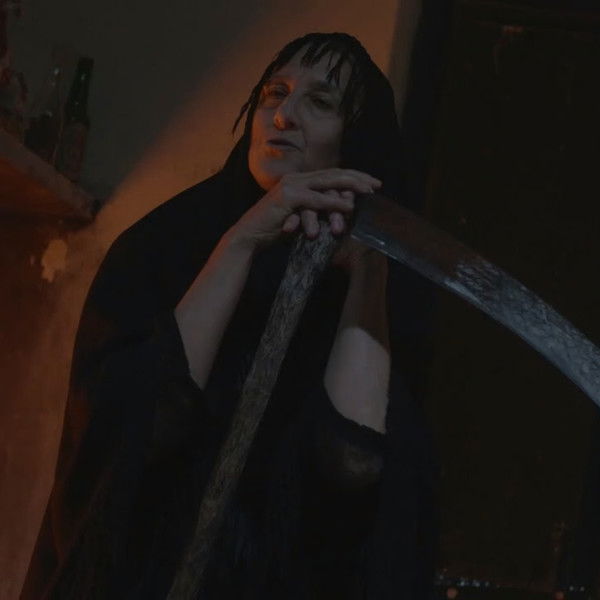 A Pereira da Tia Miséria