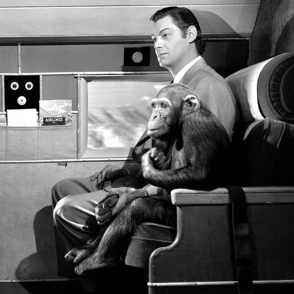 Tarzan's New York Adventure