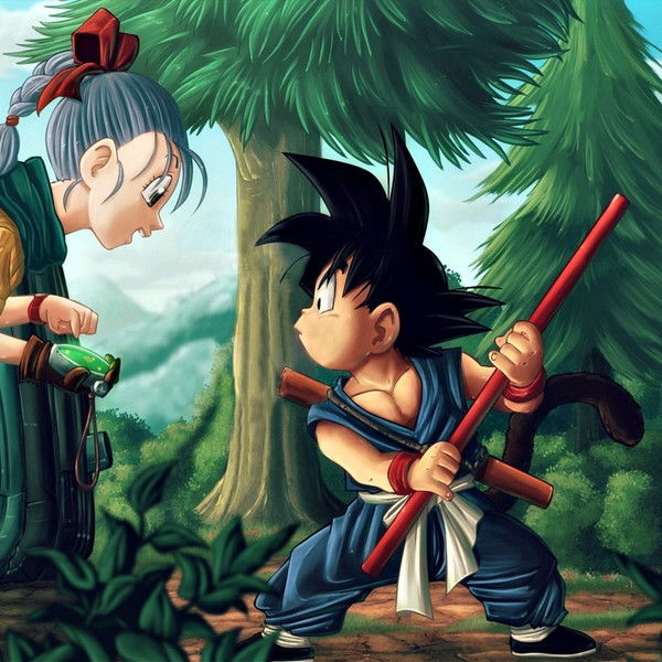 Dragon Ball: The Path to Power