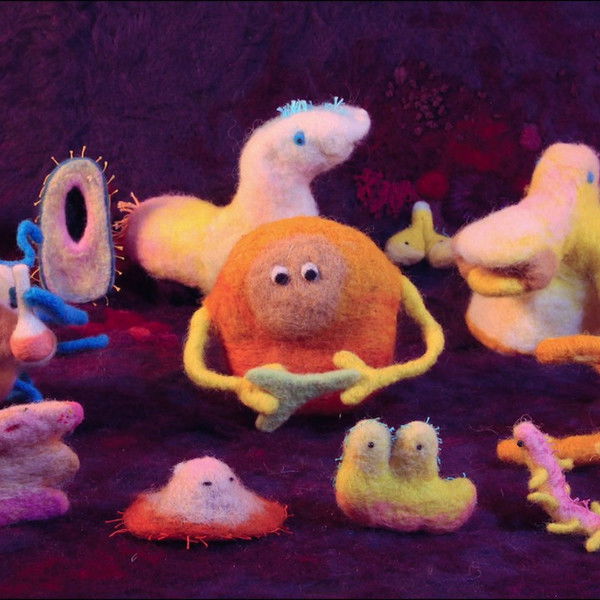 Hack Your Health: The Secrets of Your Gut