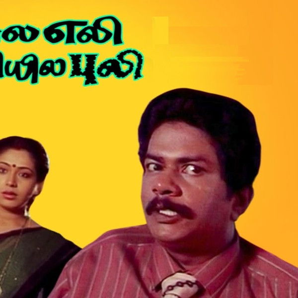 Veetla Eli Veliyila Puli