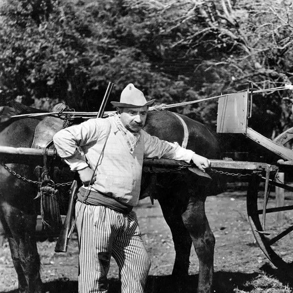 Los muchachos se divierten