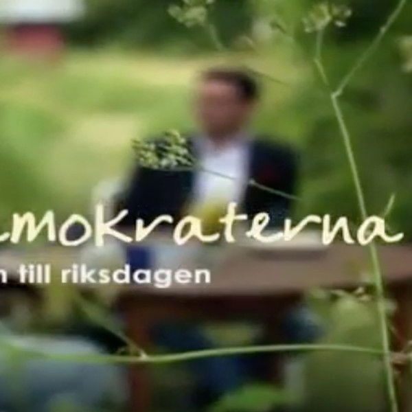 Sverigedemokraterna - vägen till riksdagen