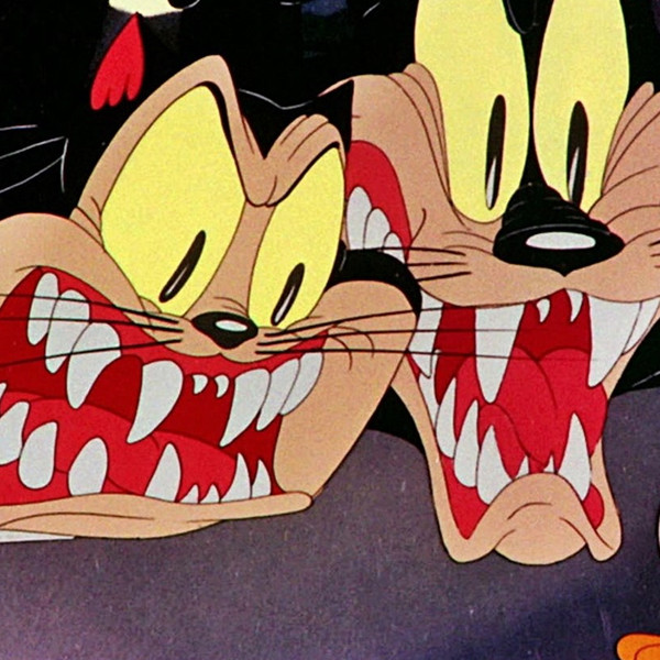 A Tale of Two Kitties