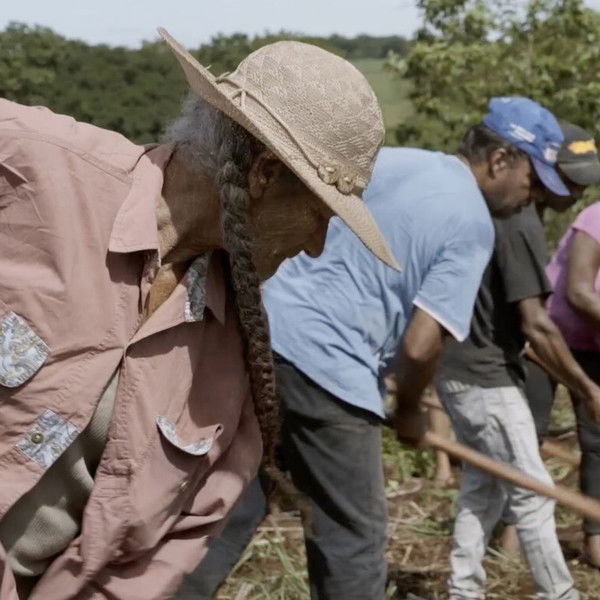 From Tomorrow on, I Will