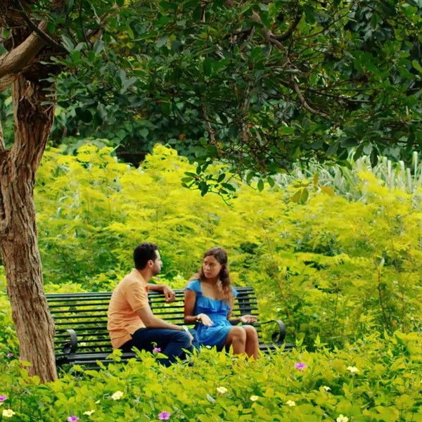 Patricia: El regreso del sueño