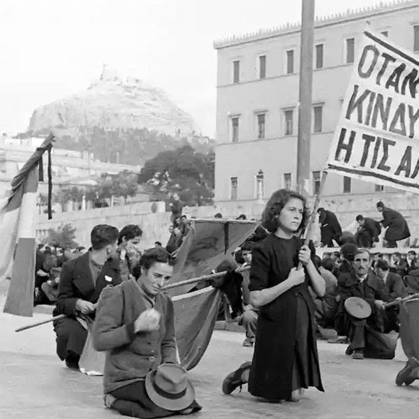 Beneath the Olive Tree