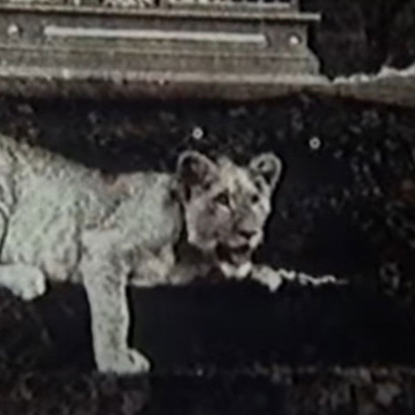 Upon Westminster Bridge