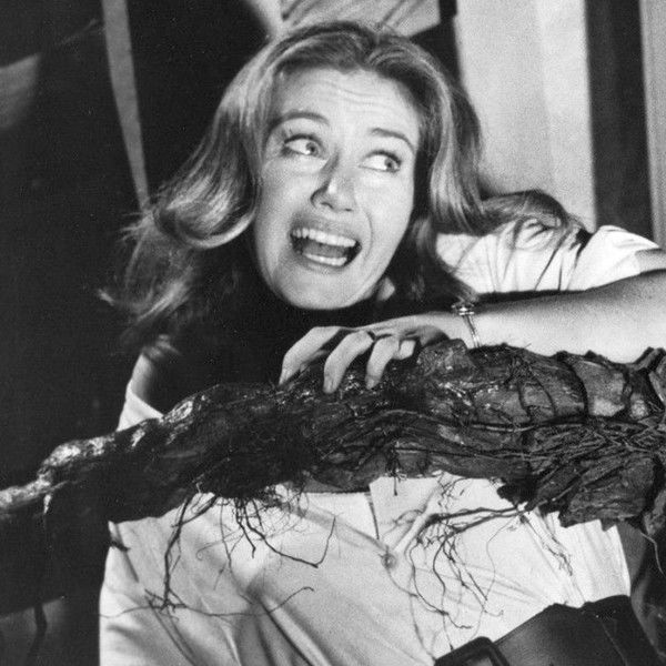 The Day of the Triffids