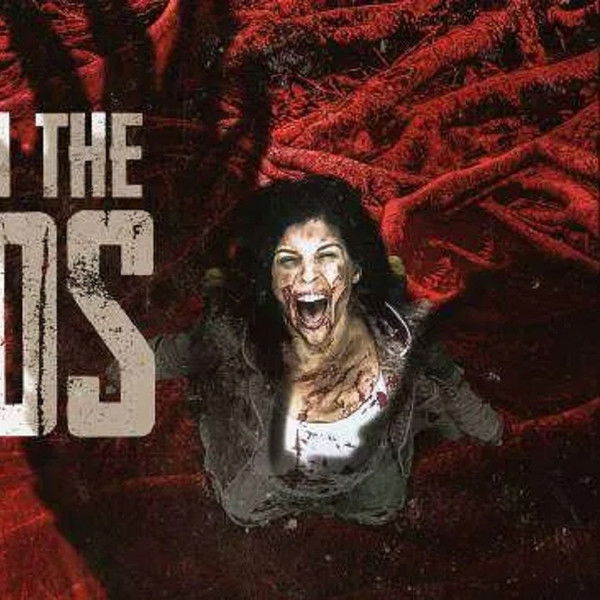 Something in the Woods