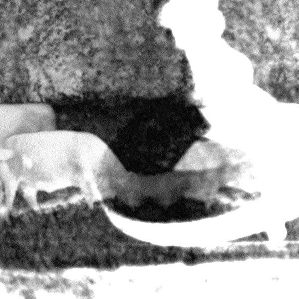 A Formal Explanation of the Experience of Witnessing "blue"