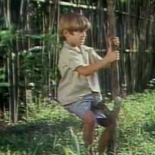 My Sweet Orange Tree