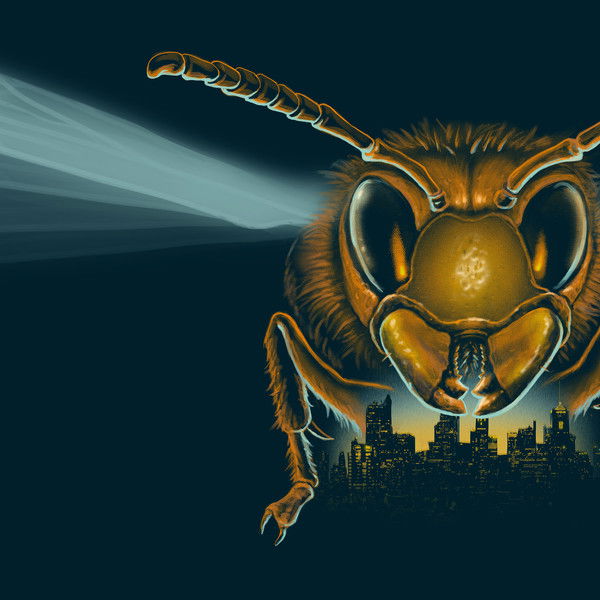 Attack of the Murder Hornets