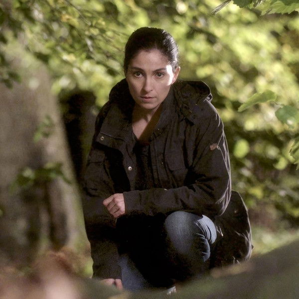 Johan Falk: Alla råns moder