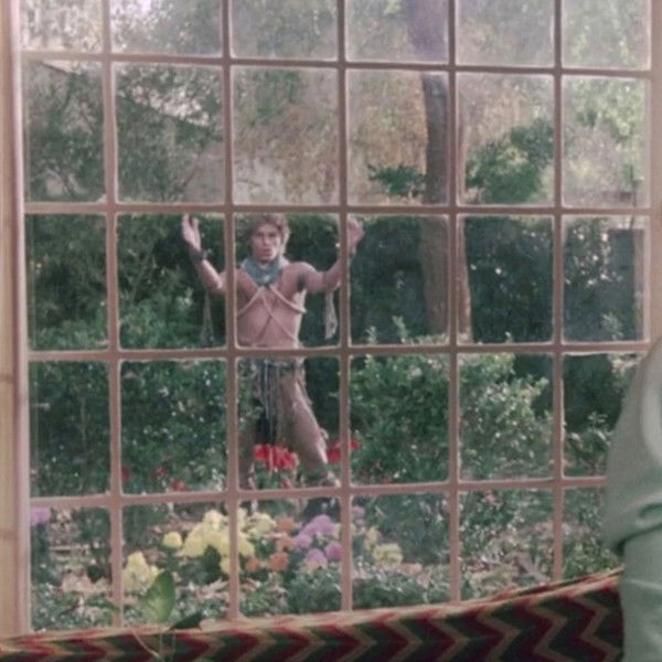 I Never Promised You a Rose Garden