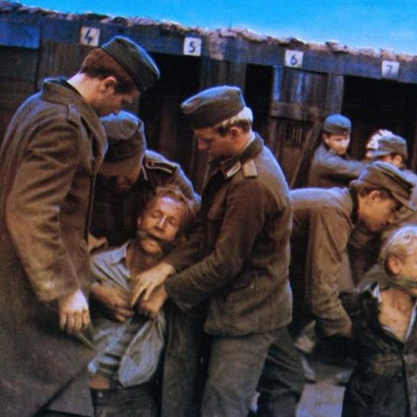 The Fifth Day of Peace