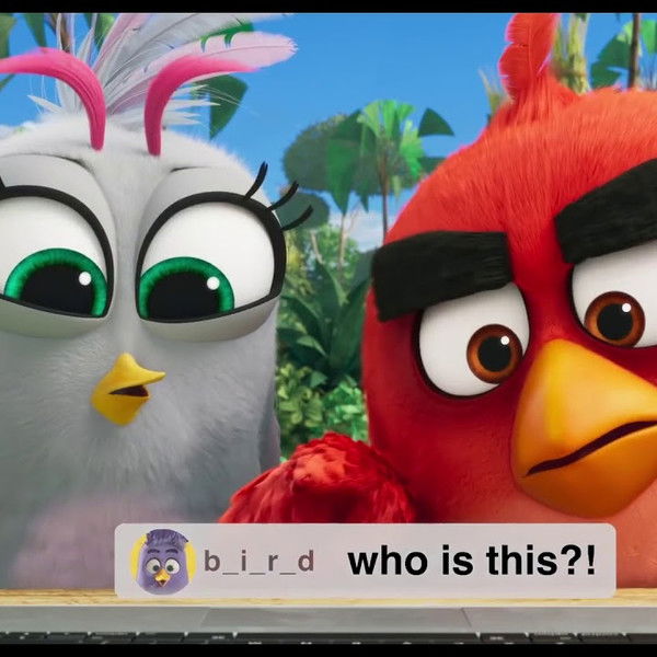 Angry Birds: Live Stream