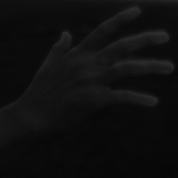 Three Studies of a Nightingale