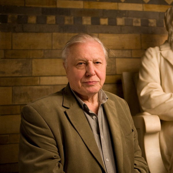 Charles Darwin and the Tree of Life