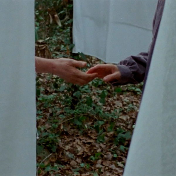 If I Could Bear Myself Like Trees Do