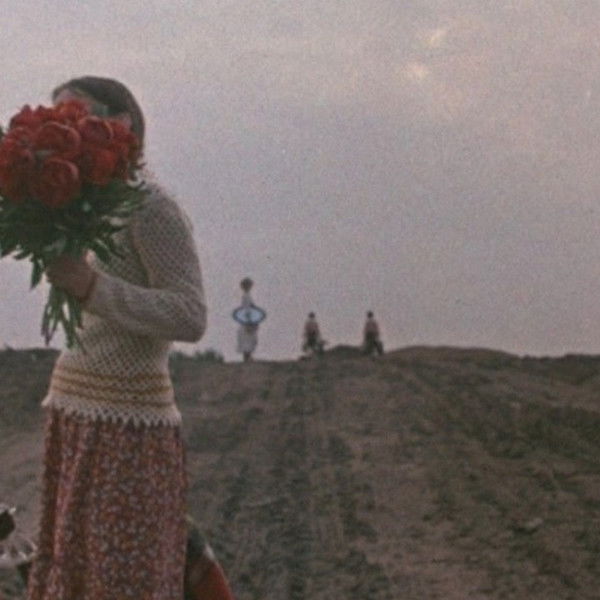 Getting to Know the Big Wide World