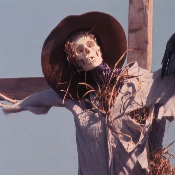 Disciples of the Crow