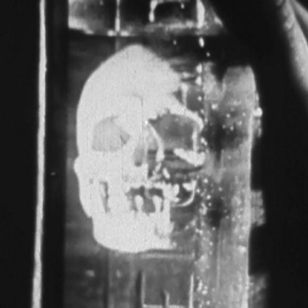 Episodes in the Life of a Gin Bottle