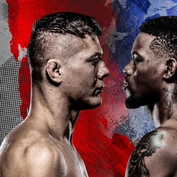 UFC on ABC 2: Vettori vs. Holland