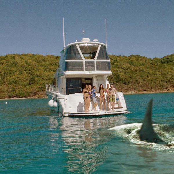 Mississippi River Sharks