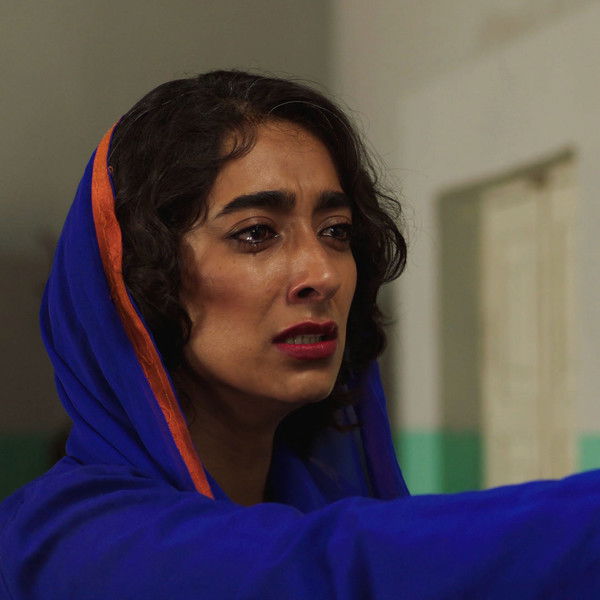 The Dogs Didn't Sleep Last Night