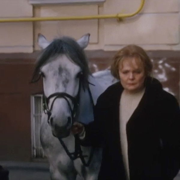 Year of the Horse - Constellation Scorpio