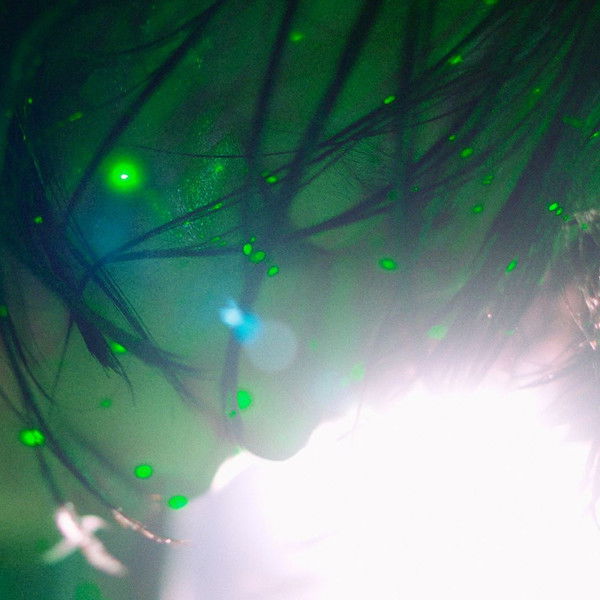 The Fifth Thoracic Vertebra