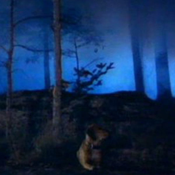 The Legend of Hillbilly John