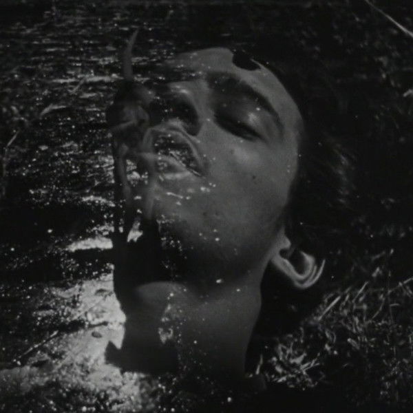 The Young and the Damned