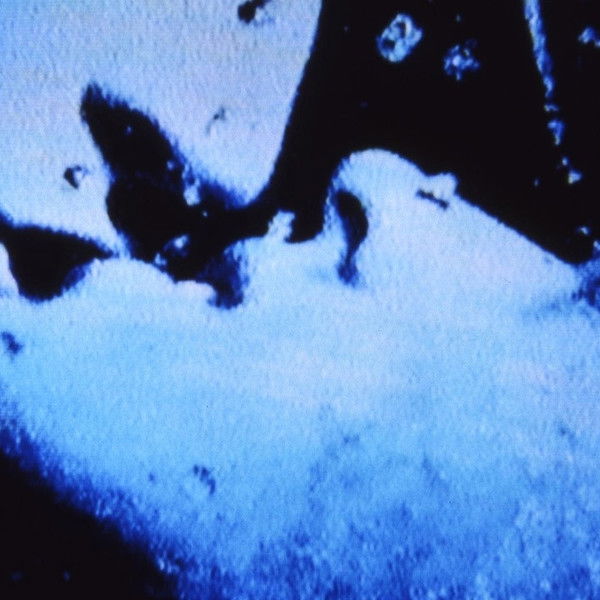 Self-Portrait in 23 Rounds: a Chapter in David Wojnarowicz’s Life, 1989–1991