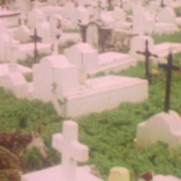 And the Dogs Were Silent