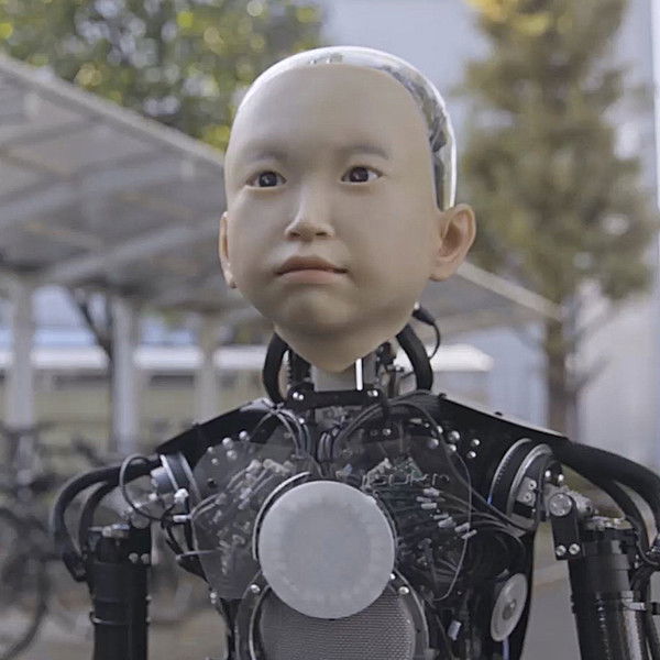 A.rtificial I.mmortality